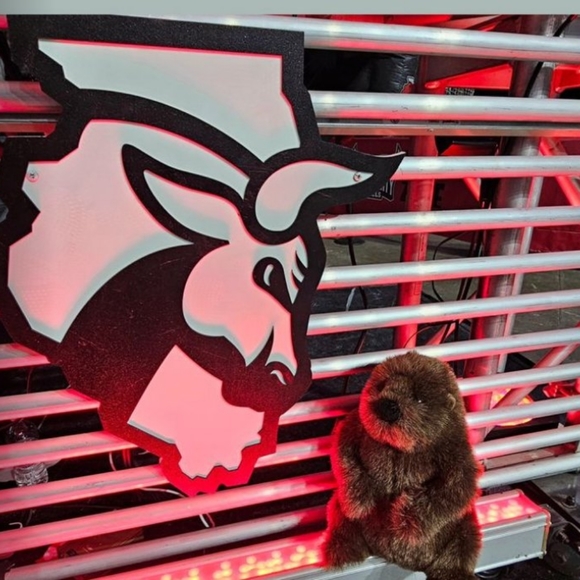 Windy City Willies (Bulls) "Alternate Identity Night" Bobblehead SGA 1/20/2024 - Picture 8 of 8